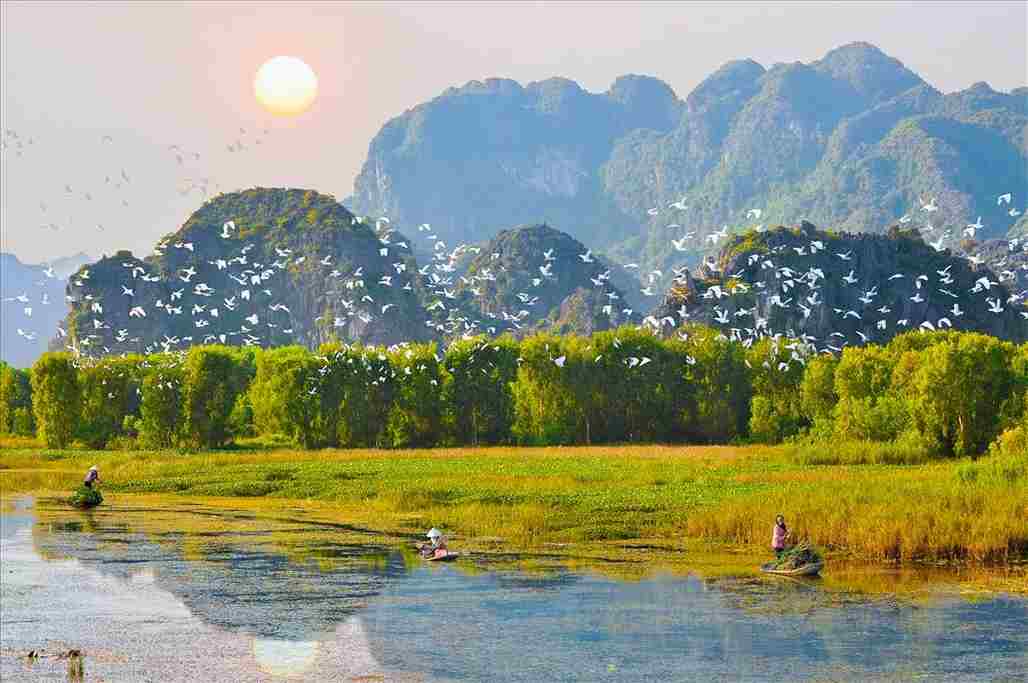 Đàn Chim trắng-Thung Nam